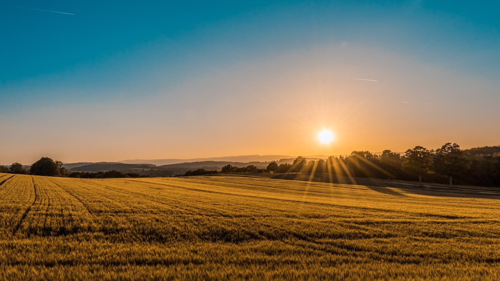 Lake Norman Shoreline Parcel, photo 1 of 3
